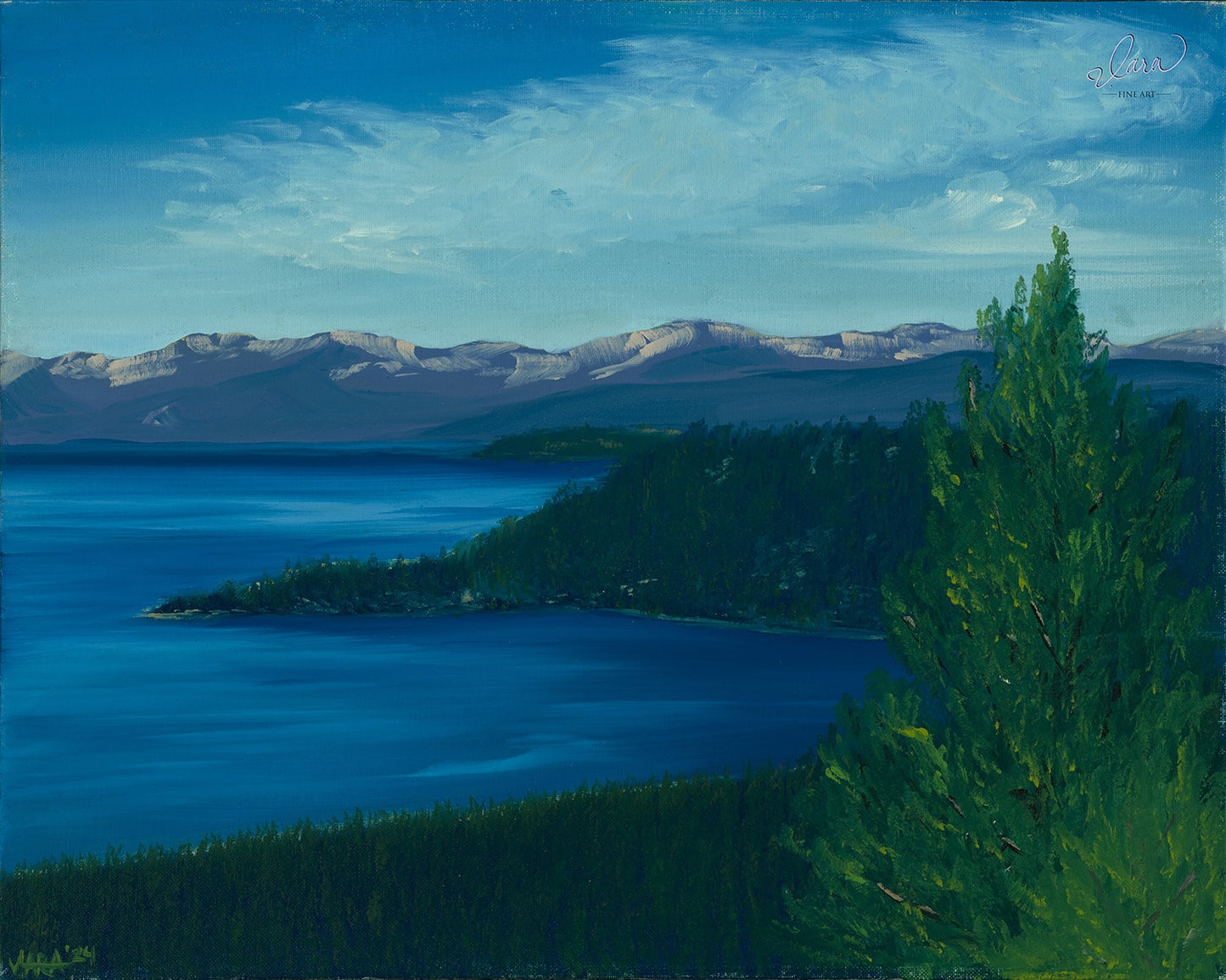 Scenic Overlook, Lake Tahoe CA 2024